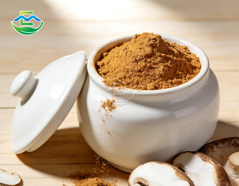Shiitake Mushroom Extract Powder